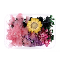 Набор для творчества &laquo;Набор сухоцветов&raquo;, малый, розовый