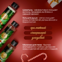 Новогодний подарочный набор косметики &laquo;Новогодние огни&raquo;, с ароматом миндаля и мандарина. Зеленая серия