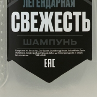 Подарочный набор косметики &laquo;Сталь и сила&raquo;, гель для душа 250 мл и шампунь для волос 250 мл, HARD LINE