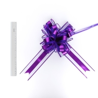 Бант-шар №6.5