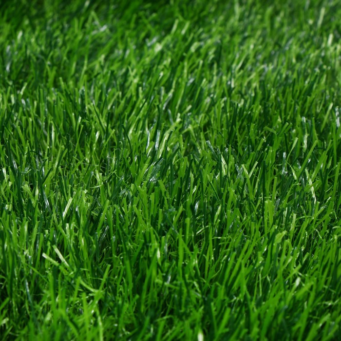 Газон искусственный, для спорта, ворс 50 мм, 2 &times; 5 м, зелёный, Greengo