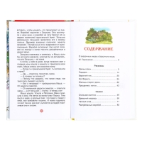Книга &laquo;Рассказы и сказки для детей&raquo;, Паустовский К.Г., внеклассное чтение