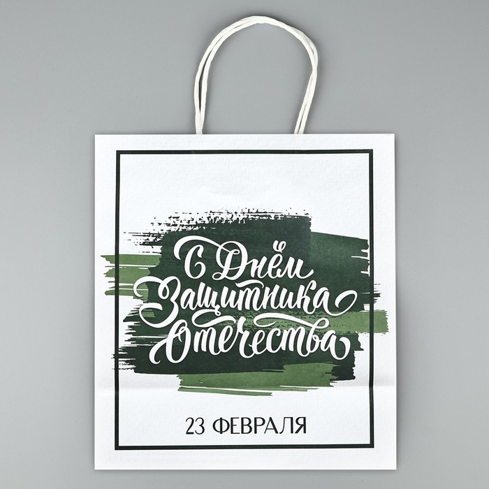 Пакет подарочный крафт &laquo;23 февраля&raquo;, 25 х 22 х 12 см