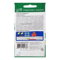 Семена Кабачок "Кавили", F1, 5 шт. Семена Кабачок "Кавили", F1, 5 шт.