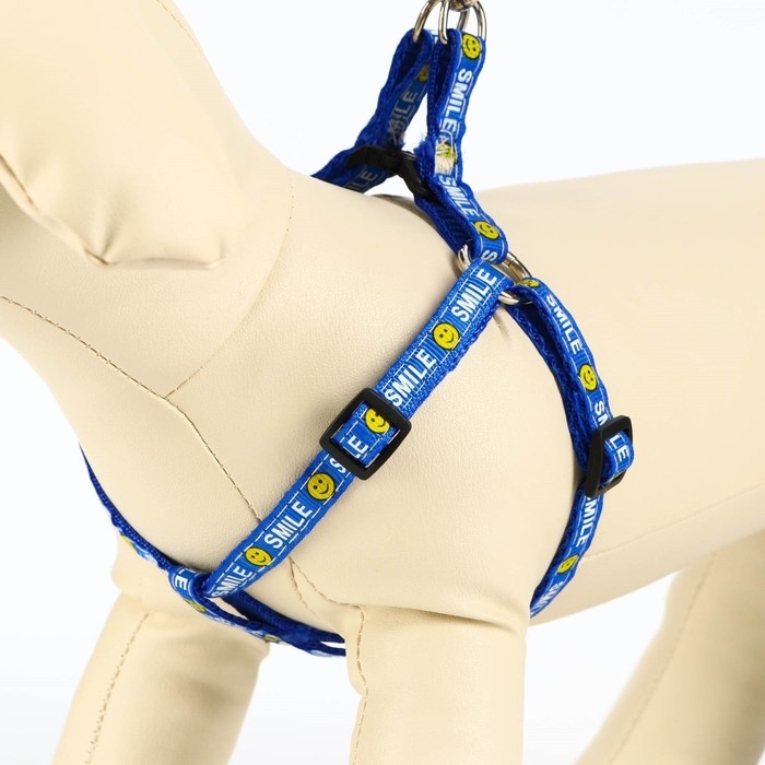 Комплект амуници "Смайлик", ширина 1 см, поводок 120 см, шлейка 26-38 см, синий