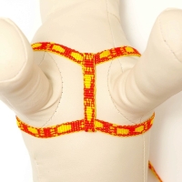 Комплект "Большая лапа", ширина 1 см, поводок  120 см, шлейка 25-36 см, оранжево-жёлтый