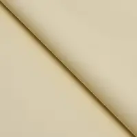 Пленка для цветов тонированная, матовая, шампань, 57&times;57 см &plusmn;5% см, 65 мкм