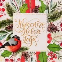 Пакет подарочный новогодний ламинированный &laquo;Чудесного Нового Года&raquo;, MS 18 х 23 х 10 см