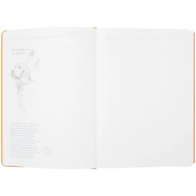 Ежедневник &laquo;История изобретений&raquo;, недатированный, оранжевый
