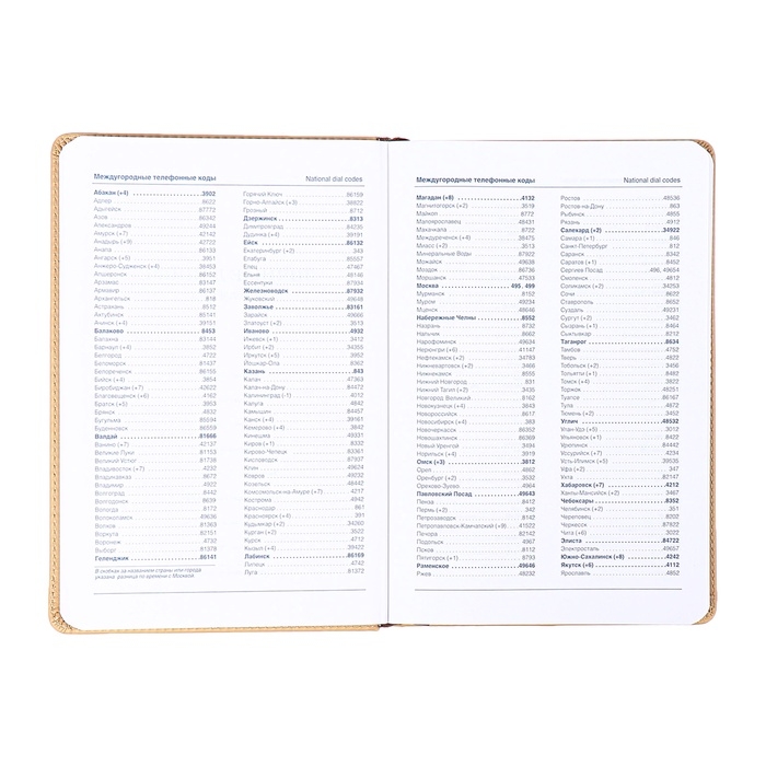 Ежедневник недатированный, обложка ПВХ, формат А5, 140 л, клетка, с хлястиком, Бежевый