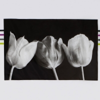 Штора для ванной Доляна &laquo;Белые цветы&raquo;, 180&times;180 см, EVA