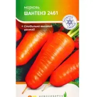 Семена Морковь "Шантенэ 2461" 2 г