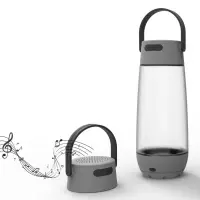 Бутылка для воды Torsta Light с колонкой и светильником, серая