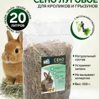 Сено луговое с веточками смородины &laquo;Пижон&raquo; для грызунов, 20 л, 500 г