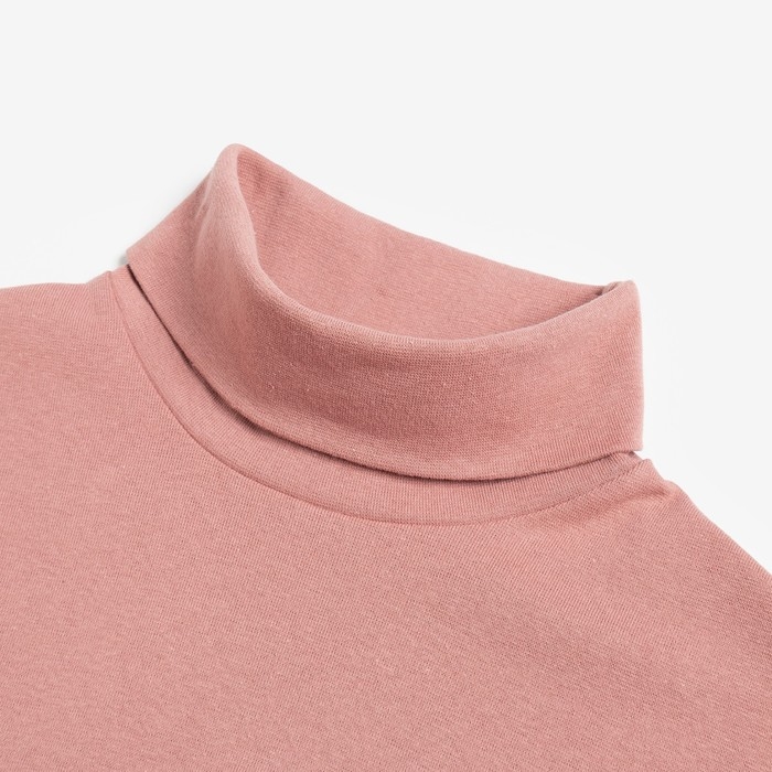 Водолазка мужская MINAKU: Basic line MAN цвет терракот, размер 44 Водолазка мужская MINAKU: Basic line MAN цвет терракот, размер 44