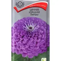 Семена цветов Цинния изящная Лавендер, 0,4гр