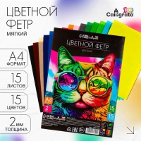 Фетр цветной набор, толщина - 2 мм, формат А4, мягкий, 15 листов, 15 цветов, насыщенные цвета, TOP Фетр цветной набор, толщина - 2 мм, формат А4, мягкий, 15 листов, 15 цветов, насыщенные цвета, TOP