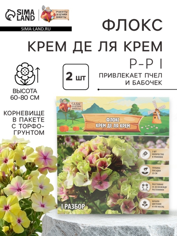 Флокс &laquo;Крем де ля Крем&raquo; корневище в пакете с торфогрунтом, р-р I, 2 шт.