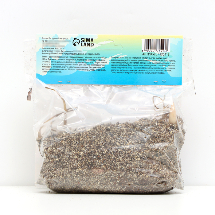 Лилия Чалмовидная Лилия Чалмовидная "Мисс Фея", р-р 12/14, 3 шт,