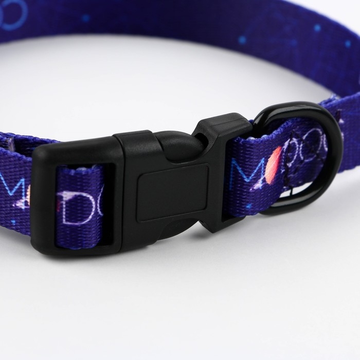 Ошейник COSMO DOG, застёжка - фастекс, 2 см 25-40 см Ошейник COSMO DOG, застёжка - фастекс, 2 см 25-40 см