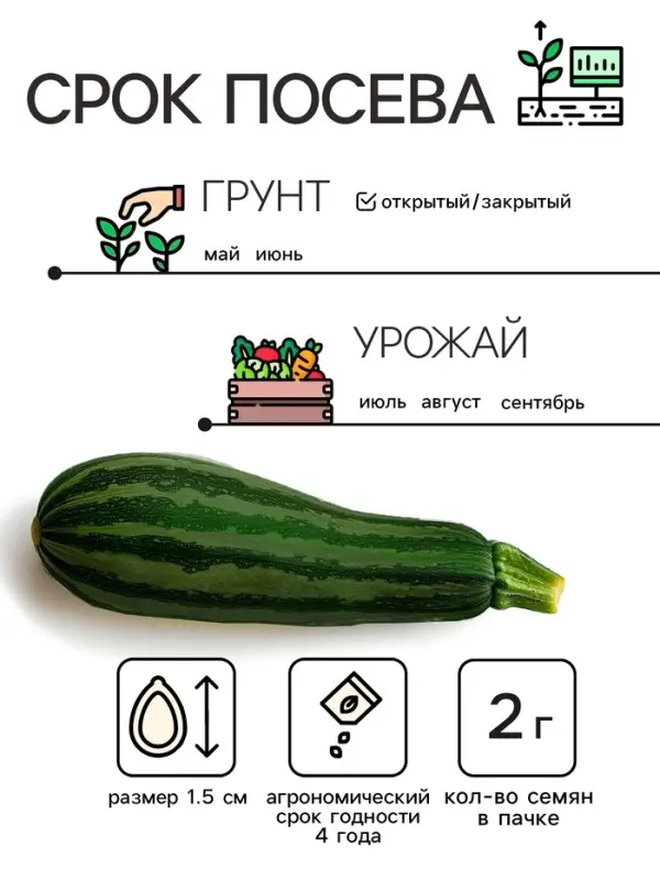 Семена Кабачок цукини "Зебра", 2 г