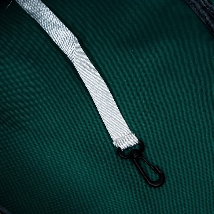 Рюкзак для переноски кошек и собак, прозрачный, 31 х 28 х 42 см, зелёный