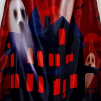 Карнавальный плащ &laquo;Увидимся в полночь&raquo;