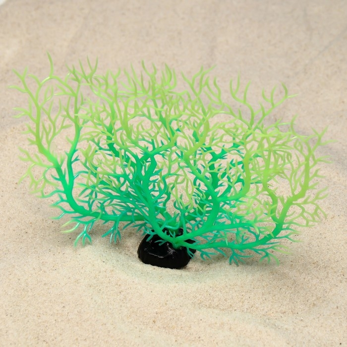 Растение искусственное аквариумное, светящееся, 15 см, зелёное Растение искусственное аквариумное, светящееся, 15 см, зелёное