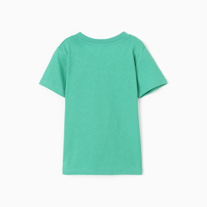 Футболка для мальчика, цвет зелёный, рост 110