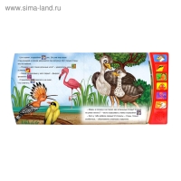 Музыкальная книга &laquo;Страусёнок&raquo;, 12 стр.