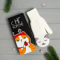 Женские варежки в подарочной коробке "С НГ" р.19 Женские варежки в подарочной коробке "С НГ" р.19