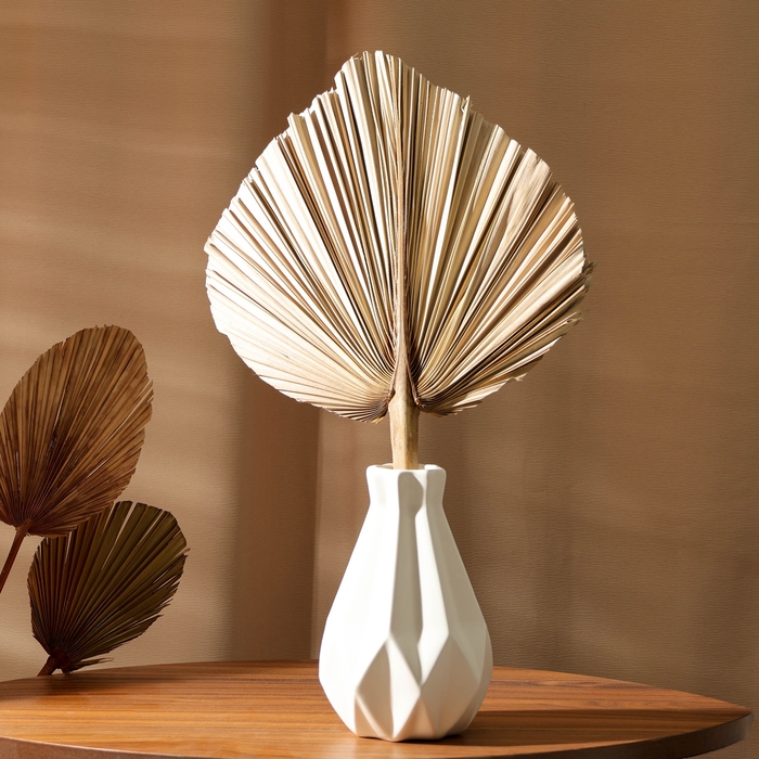 Сухие цветы «Лист пальмовый», 50 × 25 × 2 см Сухие цветы «Лист пальмовый», 50 × 25 × 2 см