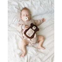 Мягкая игрушка 3 в 1 &laquo;Мишка&raquo; с метрикой, с вишнёвыми косточками, 19,5 см