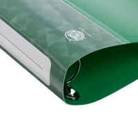 Папка на 4 кольцах А4 Calligrata, 40 мм, 700 мкм, пластик, внутренний карман, карман на корешок, зеленая