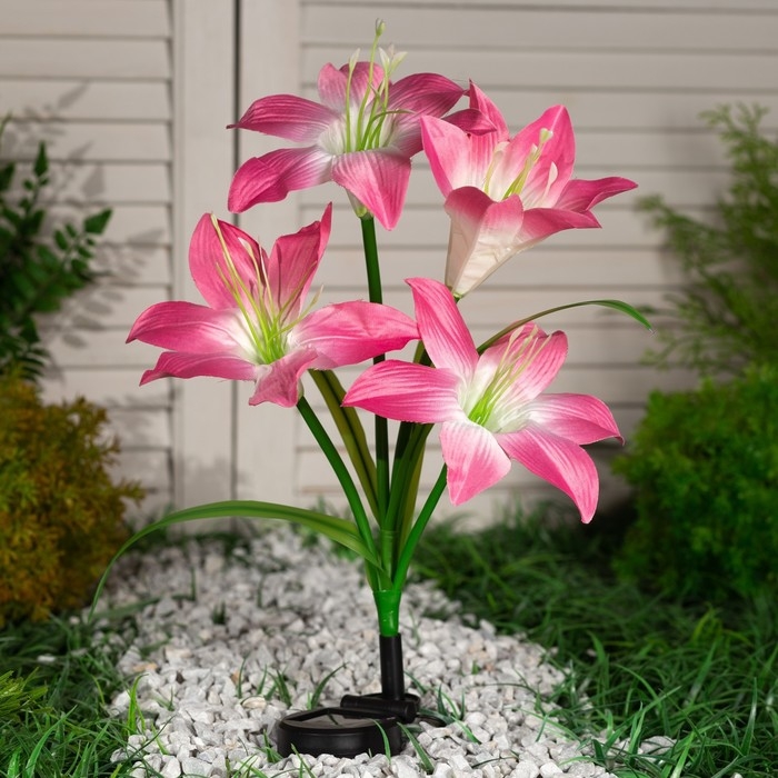 Садовый светильник на солнечной батарее &laquo;Лилия розовая&raquo;, 80 см, 4 LED, свечение мульти (RGB)