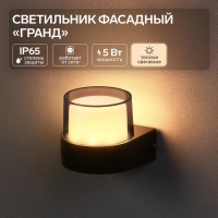 Светильник фасадный &laquo;Гранд&raquo;, FSD-082, 5 Вт, 3000К, IP65, 220 В, металл, черный