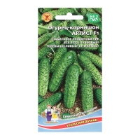 Семена Огурец "Артист", корнишон, F1, 6 шт