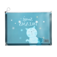 Папка-конверт на молнии формат А4, 180мкр, прозрачная с рисунком "Котик", МИКС Папка-конверт на молнии формат А4, 180мкр, прозрачная с рисунком "Котик", МИКС