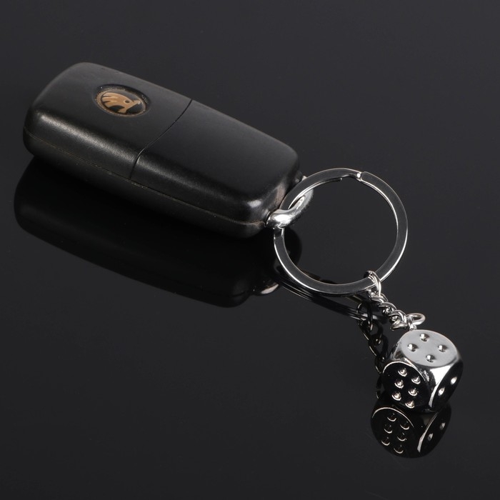 Брелок для ключей Cartage, Брелок для ключей Cartage, "Кость на удачу", хром