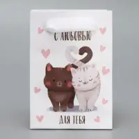 Пакет подарочный ламинированный, упаковка, &laquo;Котики&raquo;, 7&times;10&times;7 см