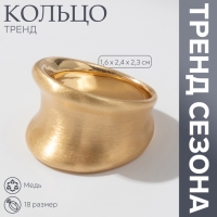 Кольцо металл «Тренд» матовое, вогнутое, цвет золото, размер 18 Кольцо металл «Тренд» матовое, вогнутое, цвет золото, размер 18