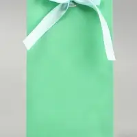 Пакет подарочный с лентой &laquo;Бирюзовый&raquo; 13&times;23&times;7 см, 1 шт.