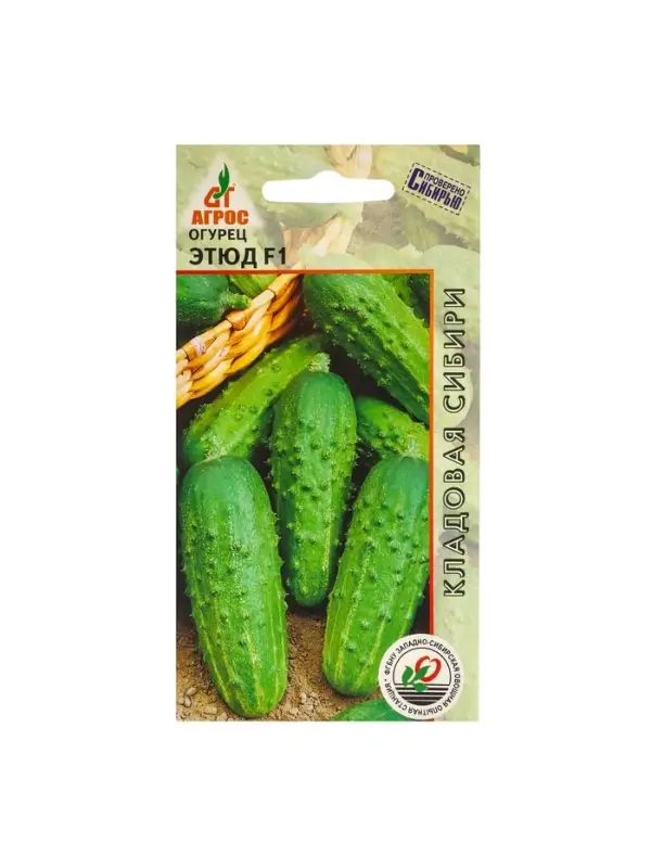 Семена Огурец"Этюд"F1 10шт* КС