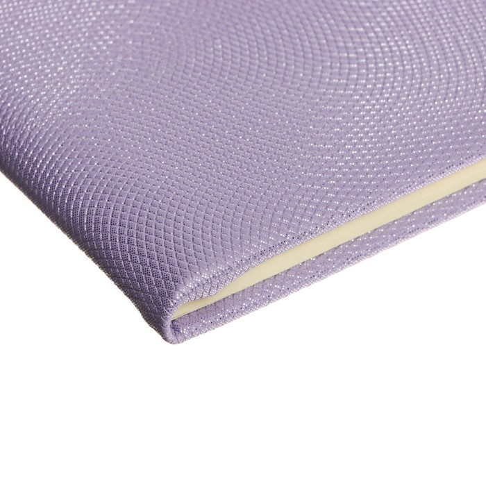 Дневник универсальный для 1-11 класса Bird, твёрдая обложка, искусственная кожа, с поролоном, тиснение фольгой, ляссе, 80 г/м2