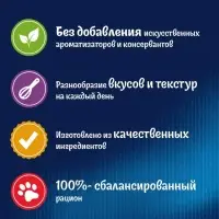 Влажный корм Felix Суп с курицей, для кошек, 48 г