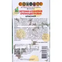 Семена цветов Бегония клубневая крупноцветковая Красная, 5шт