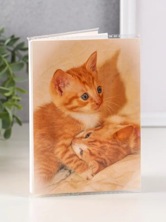 Фотоальбом 36 фото 10X15см, "Рыжий котёнок", ПП карм.,мягкая обложка