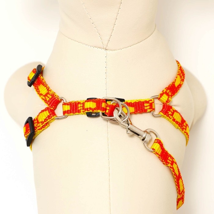 Комплект "Большая лапа", ширина 1 см, поводок  120 см, шлейка 25-36 см, оранжево-жёлтый