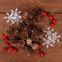 Набор декора &laquo;Ледяная сказка&raquo;