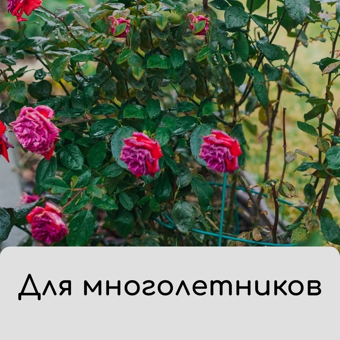 Чехол для укрытия растений, металлический каркас, 100 × 65 см, спанбонд с УФ-стабилизатором, плотность 60 г/м² Чехол для укрытия растений, металлический каркас, 100 × 65 см, спанбонд с УФ-стабилизатором, плотность 60 г/м²